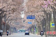 秦皇岛共建“花园城市” 北京这场议政会“百花齐放”